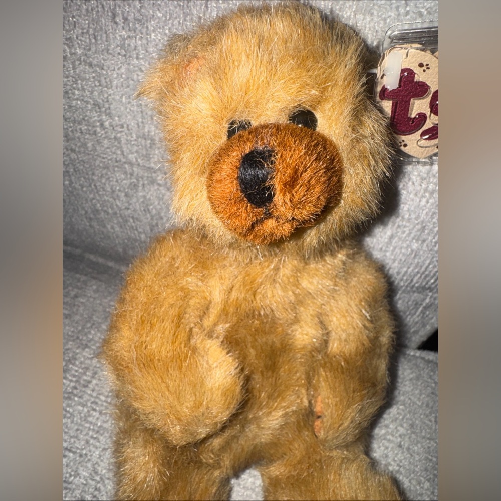 TY 1993 CODY Beanie Baby Bear, Jointed With Tag Protector - Collectible